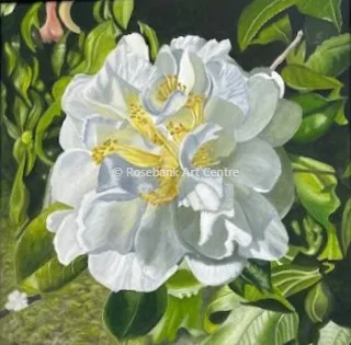 Camellia by Helen Malcolm