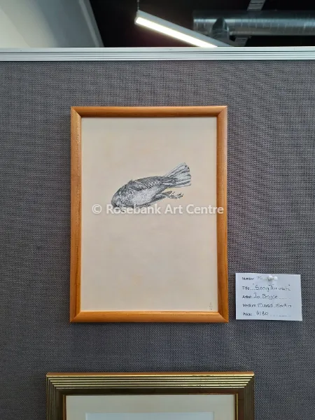 Song Thrush by Jo Bryce