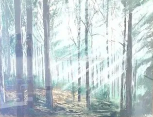 Forrest Dawn by Nick Bartosiak