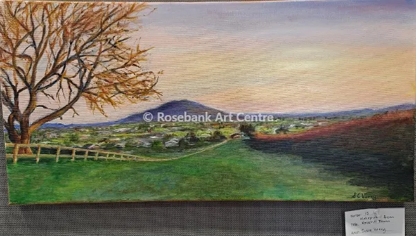 Kakepuku from Rosehill Farm by Susie Verry