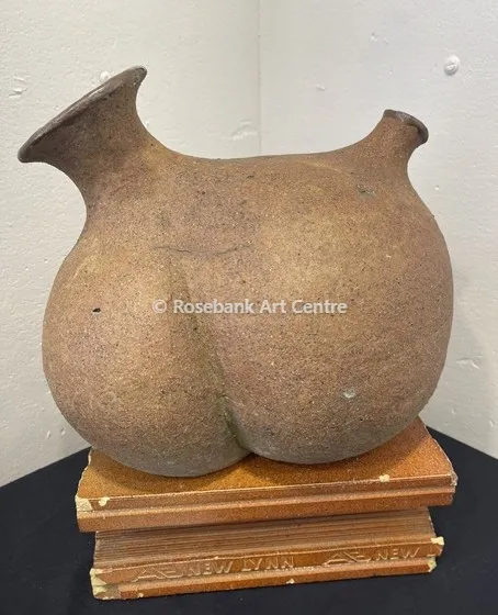 Anatomical Pot by Sue Heathwaite