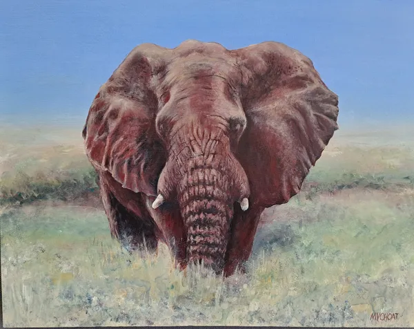 Lone Bull by Margaret Choat