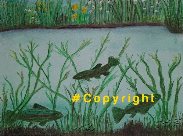 by Janice Hehl