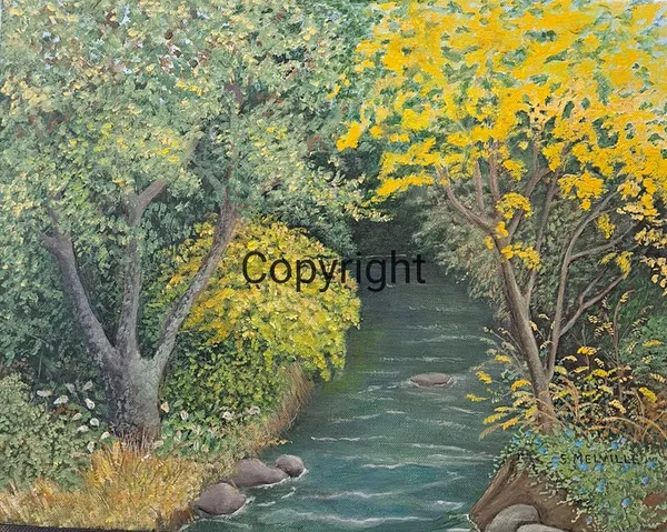 Mangahoi Stream by Shirley Melville