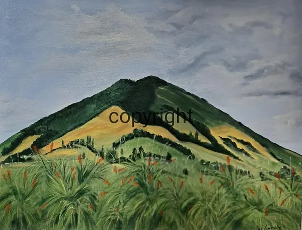 Mount Kakapuku by Ngaire Lincoln