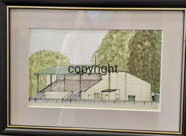 Te Awamutu Grandstand by Pip Annan
