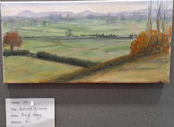 Autumn Colours by Susie Verry
