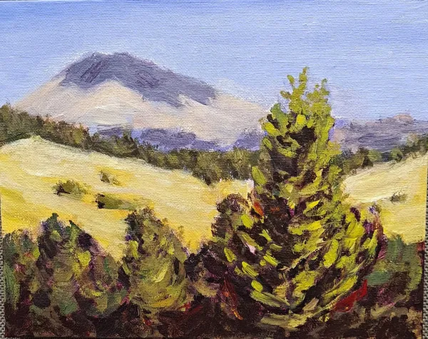 Kakepuku From Mangati Road by Joanne Daczo