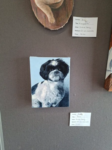 Beau by Susie Verry