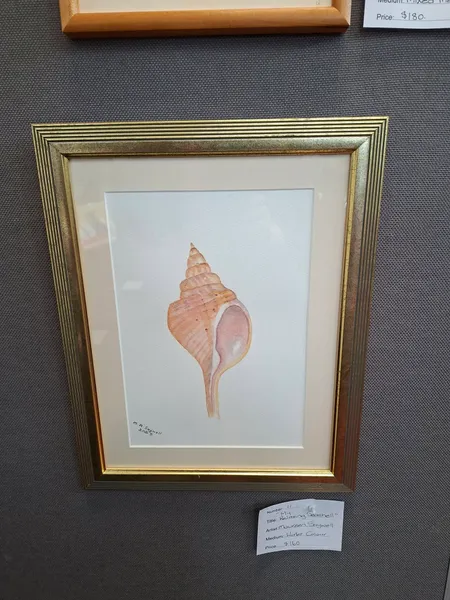My Relaxing Seashell by Maureen Saywell