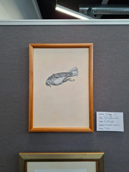 Song Thrush by Jo Bryce